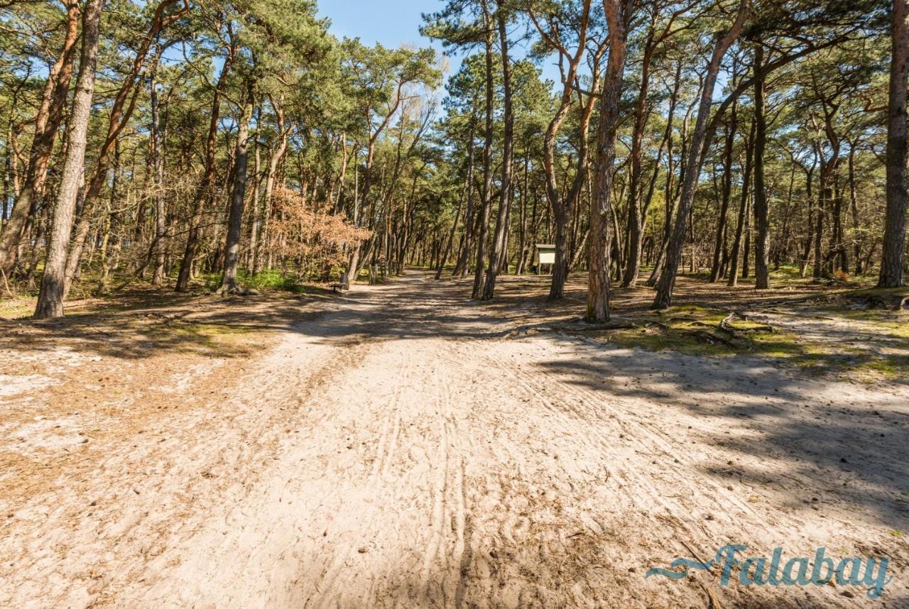 Vila Domki Falabay Karwieńskie Błoto Exteriér fotografie